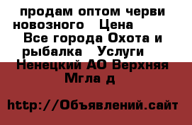 продам оптом черви новозного › Цена ­ 600 - Все города Охота и рыбалка » Услуги   . Ненецкий АО,Верхняя Мгла д.